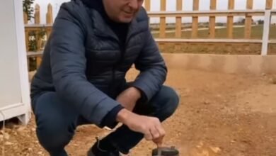 راغب علامة يستمتع بعطلته في بعلبك