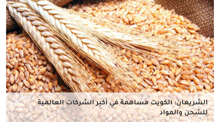 الكويت: خطط طوارئ خليجية لضمان تدفق المواد الغذائية