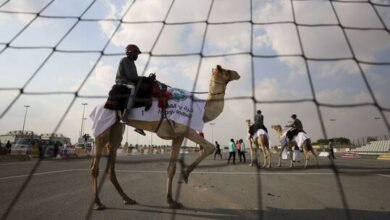 لأول مرة في قطر.. مبارتا كرة يد بين الهجانة
