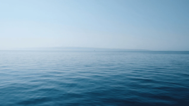 في العام الماضي، امتصت المحيطات كمية قياسية من الحرارة أي ما يعادل انفجار 12 قنبلة هيروشيما في كل ثانية.