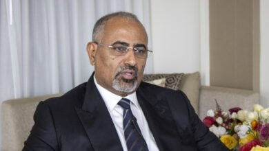 العليمي إنهاء التواجد العسكري الإماراتي في اليمن لم يكن قرارا عدائيا