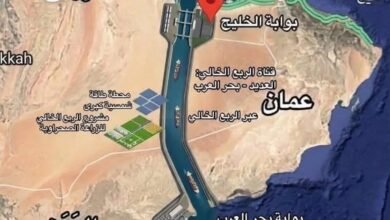 سيطرة الحوثيين على جزيرة بريم تعيد خطر باب المندب إلى الواجهة